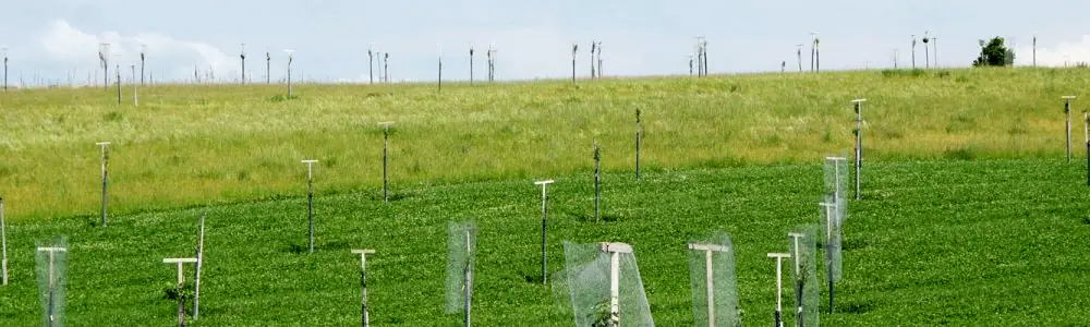 Bundesprojekt Napegrel